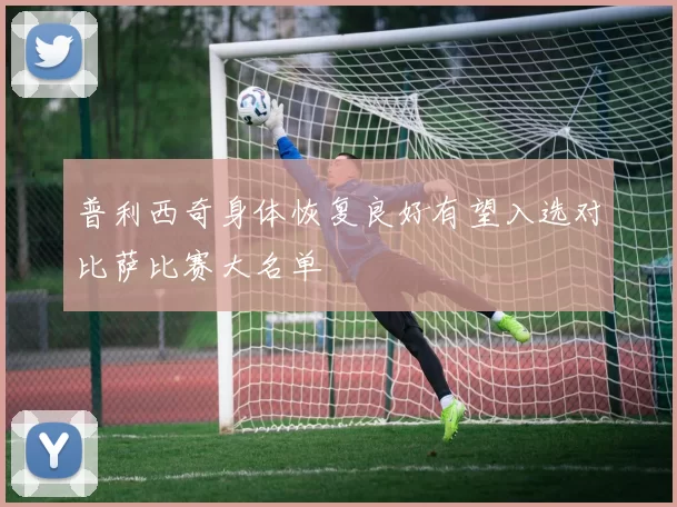 普利西奇身体恢复良好有望入选对比萨比赛大名单