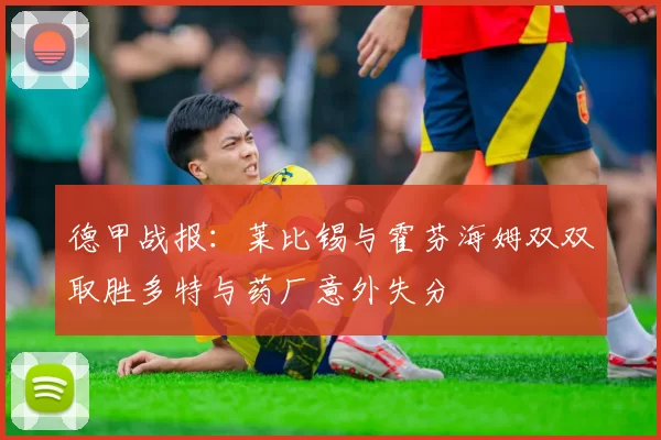 德甲战报：莱比锡与霍芬海姆双双取胜多特与药厂意外失分