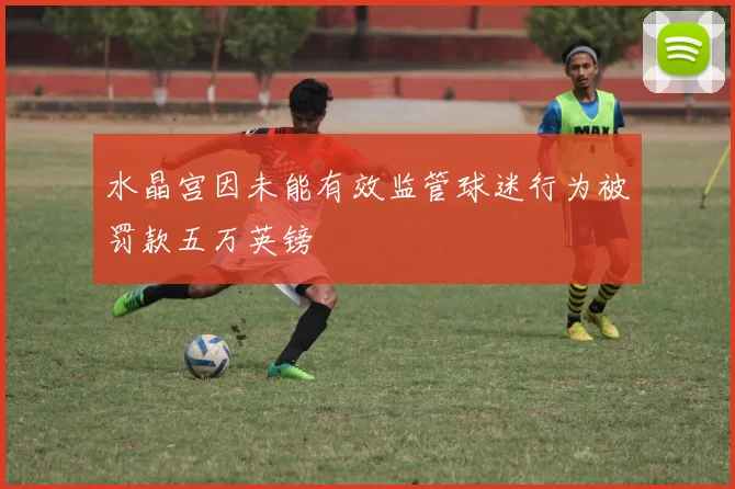 水晶宫因未能有效监管球迷行为被罚款五万英镑